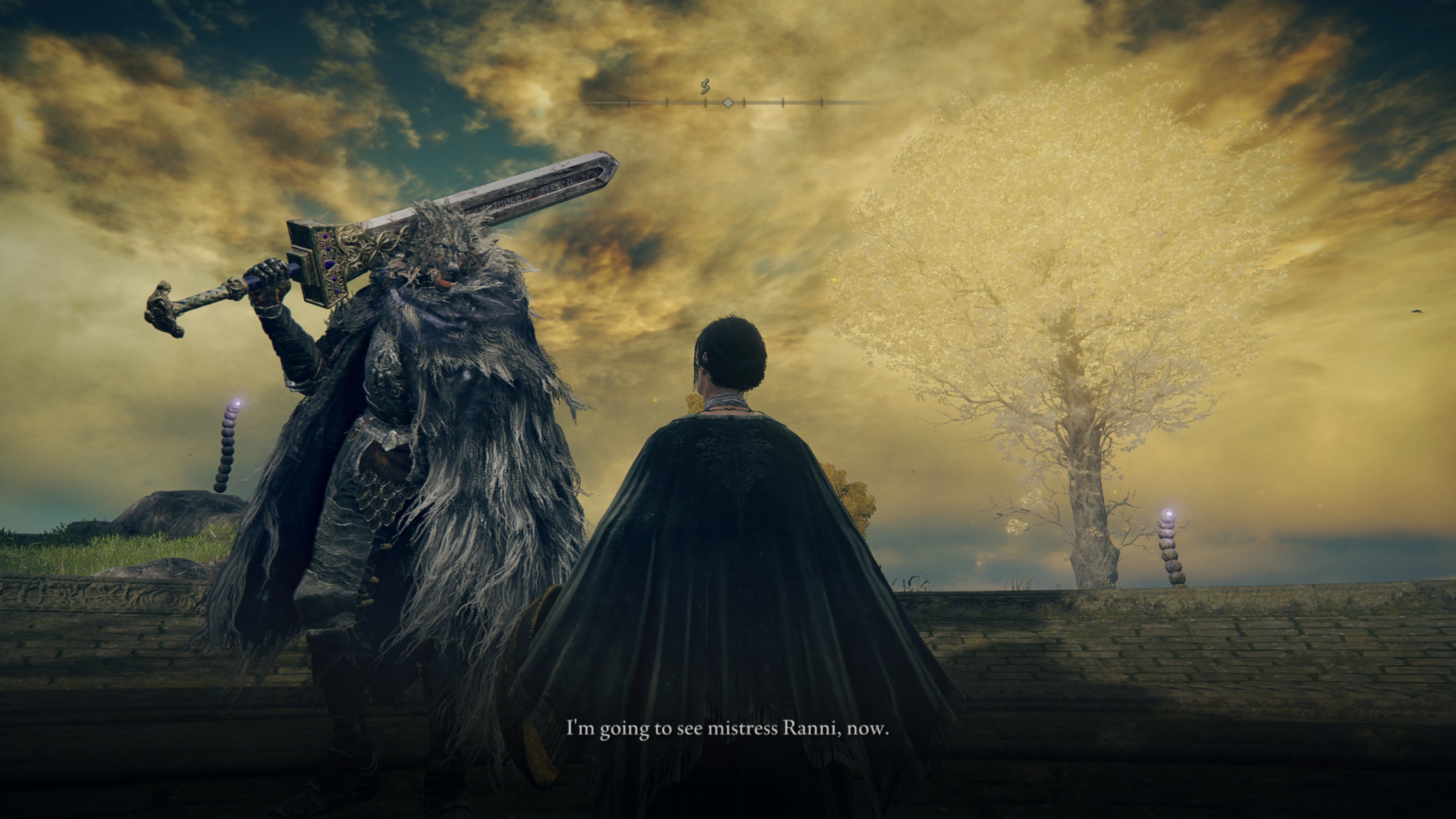 blaidd, standing before a minor erdtree: 'i'm going to see mistress ranni, now.'